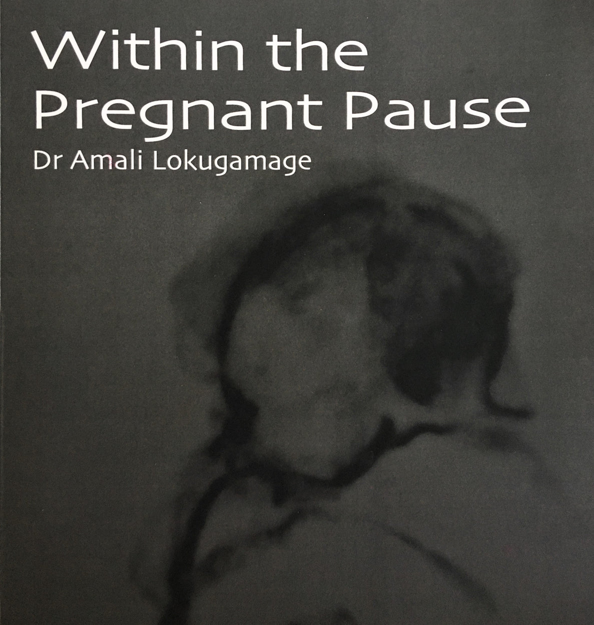 Pictures for ‘Within the Pregnant Pause’